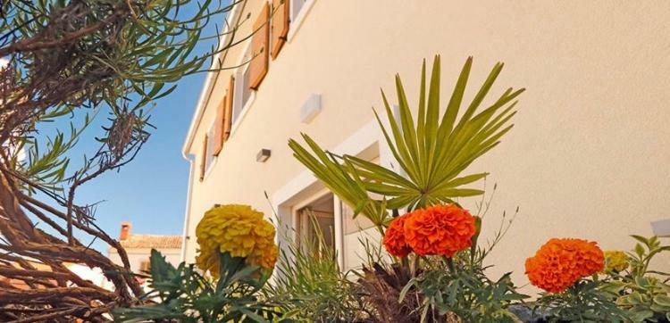 Studio Apartman Dado Διαμέρισμα Bale Εξωτερικό φωτογραφία